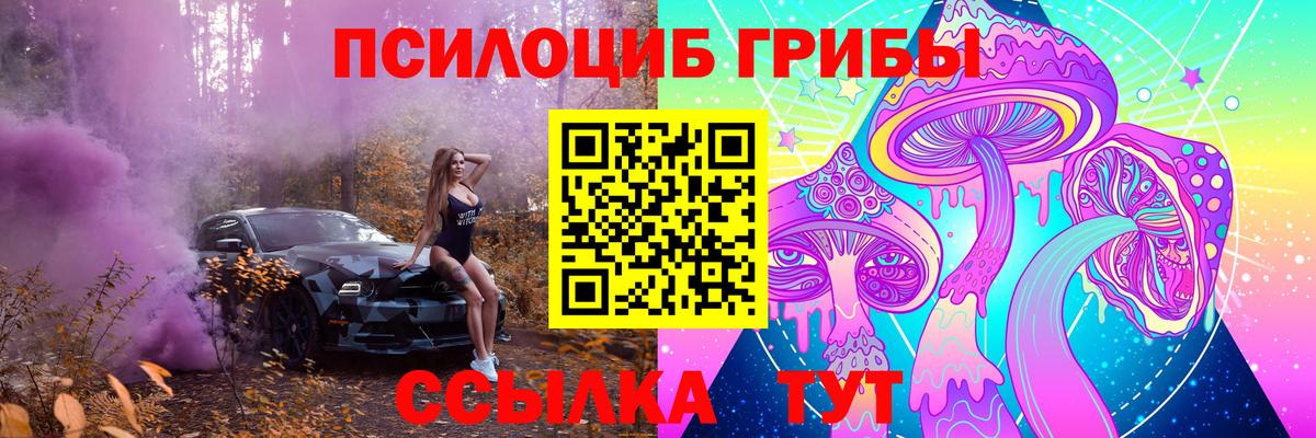 Псилоцибиновые грибы мухоморы Северобайкальск