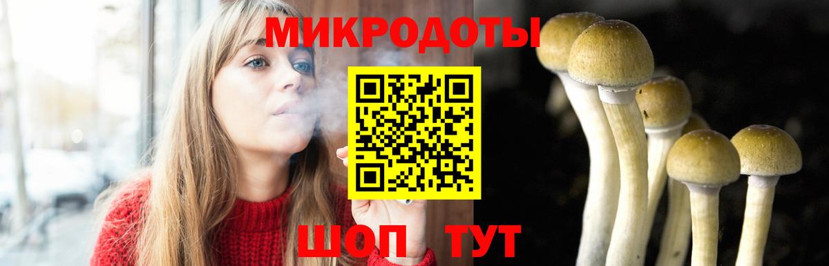 Псилоцибиновые грибы Psilocybine cubensis  где купить наркоту  Вход с VPN  Северобайкальск  Галлюциногенные грибы Cubensis 